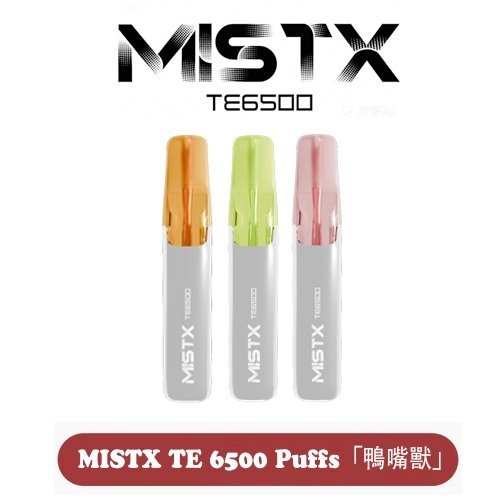 MIST X 鴨嘴獸6500口一次性拋棄式電子煙|陶瓷芯更穩定|免充電長續航|台灣現貨